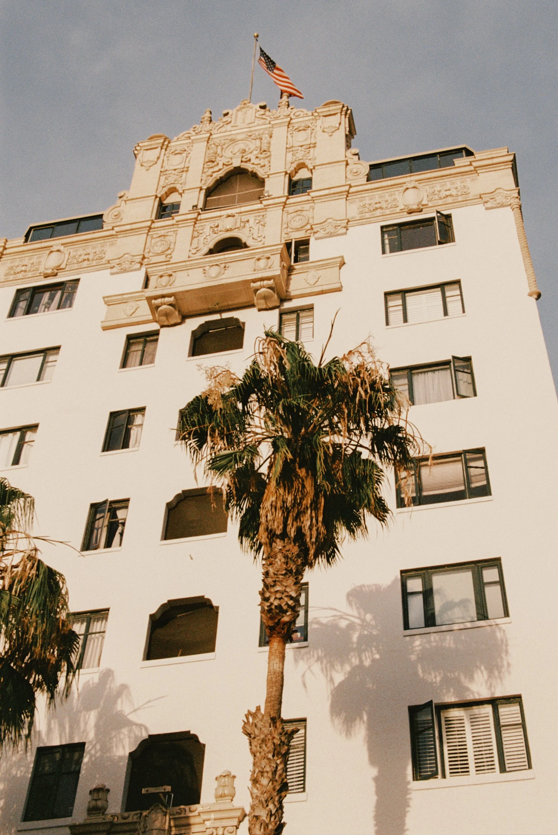 IMG-4000.JPG