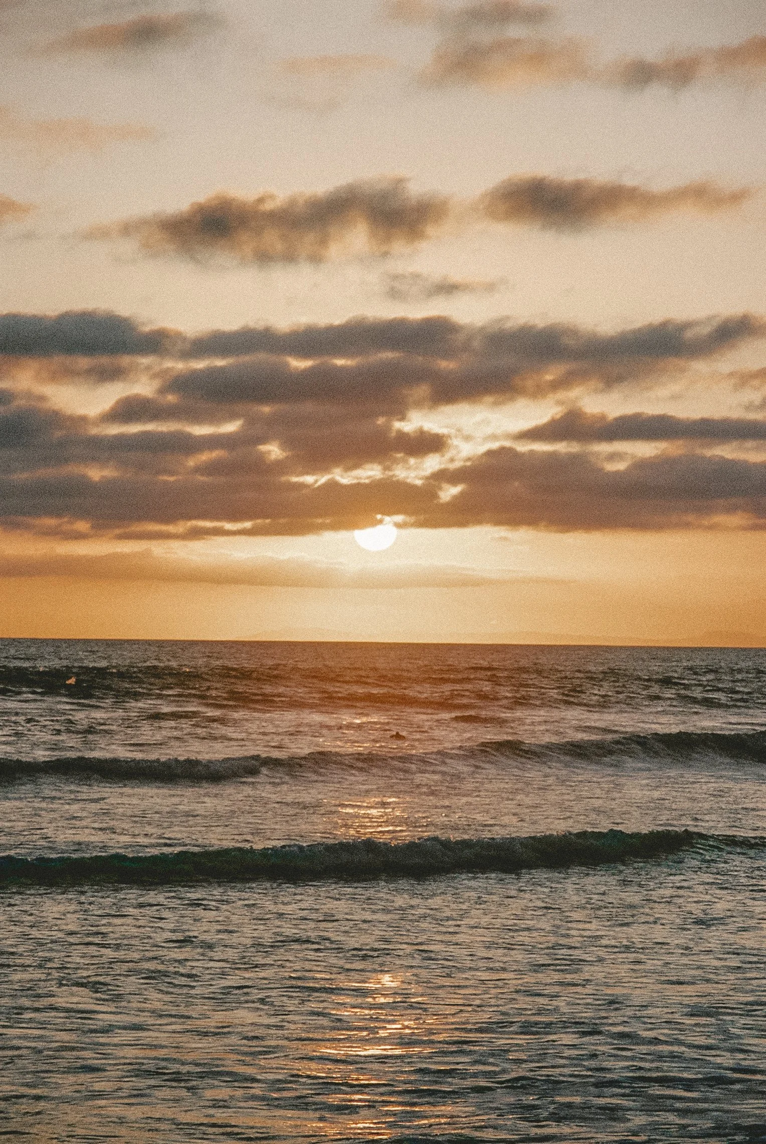 IMG1468-R01-020A.jpg