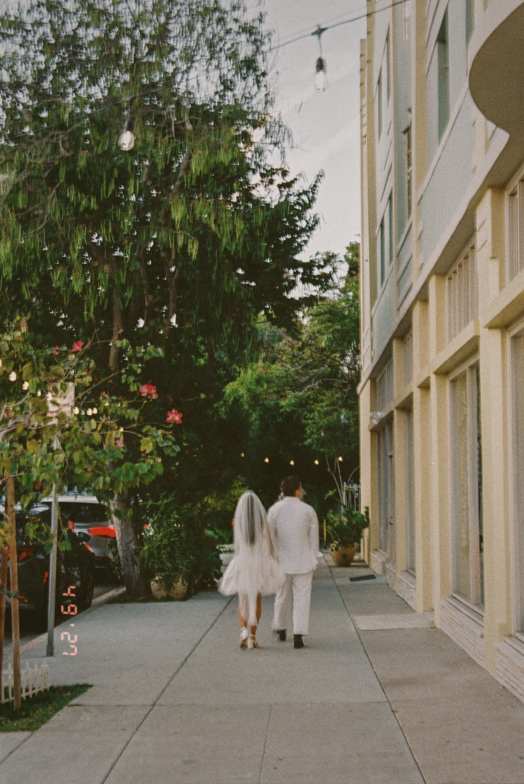 IMG-6791.JPG