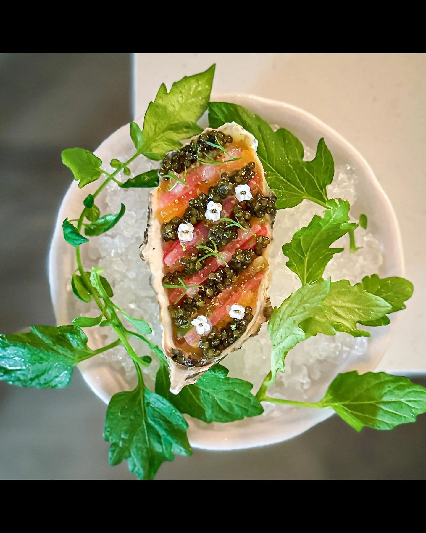 Paradise Oyster Custard | &ldquo;Caesar&rdquo; Gel&eacute;e | Ontario Heirloom Tomato | Kaluga Caviar

@nicklam2008 always doing something &ldquo;extra&rdquo;. 

No.8 Restaurant 

446 Pearl Street, Burlington, Ontario
Wed-Sat 5:00-10:00