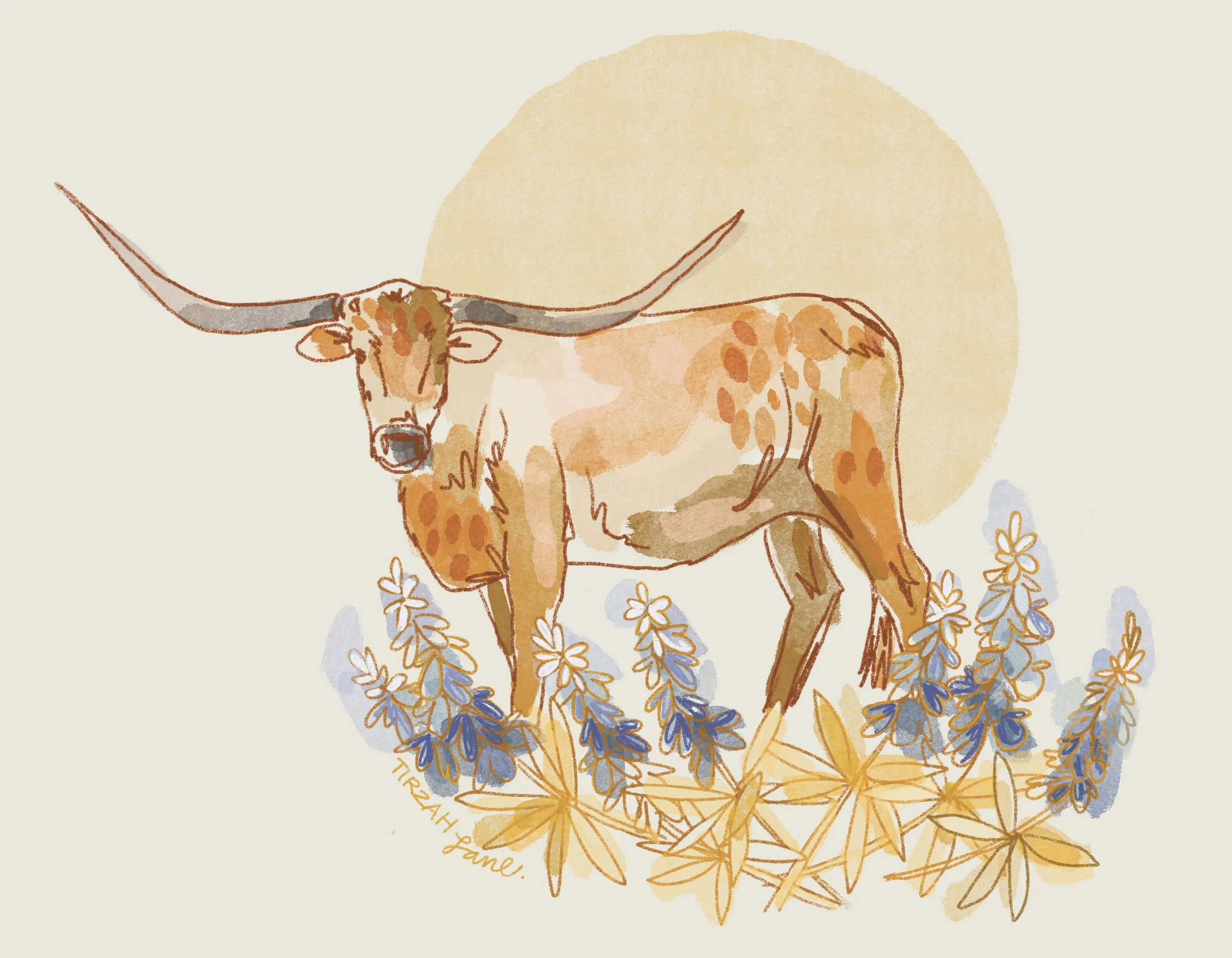 Texas Longhorn Sunrise