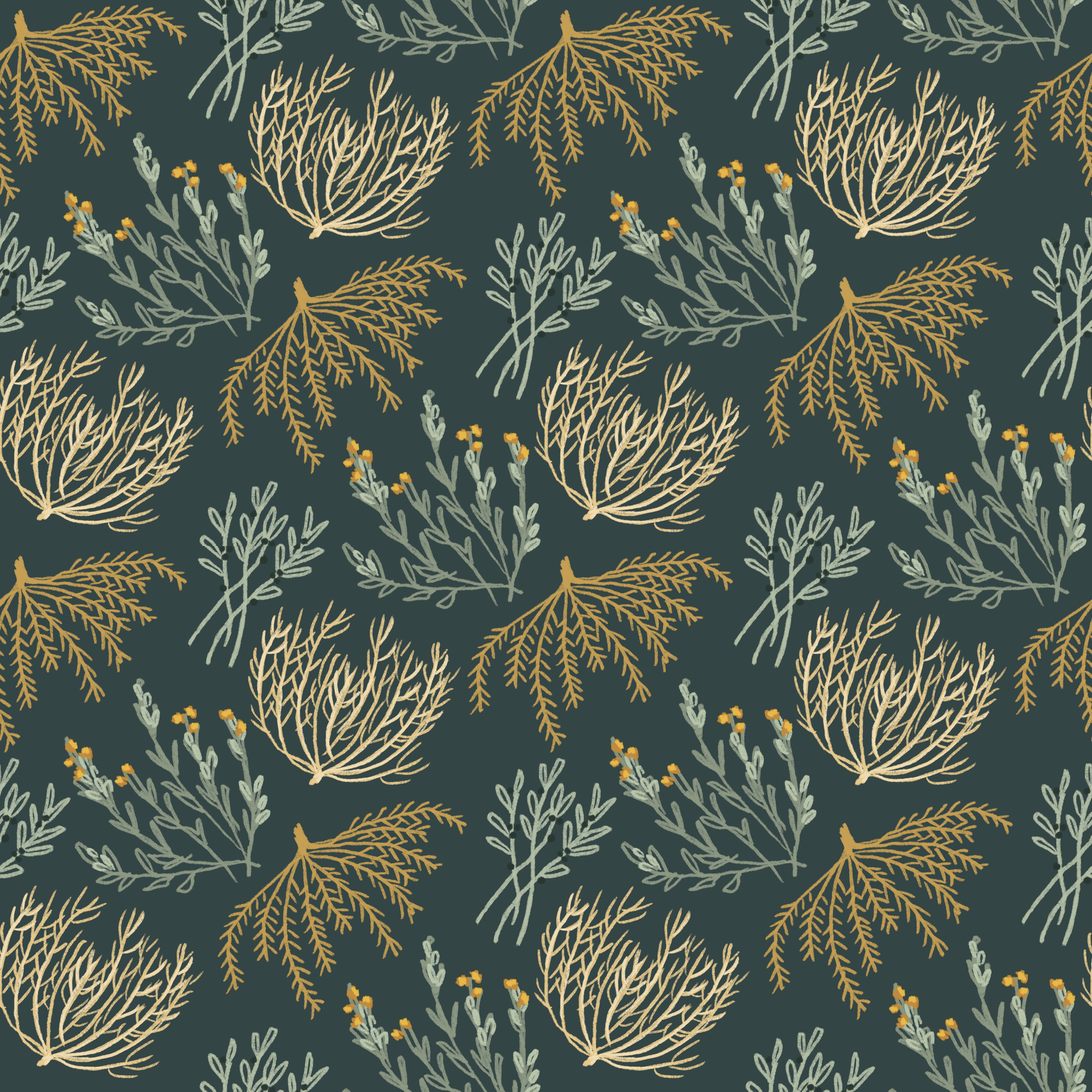 Tumbleweed Dreams in Sage