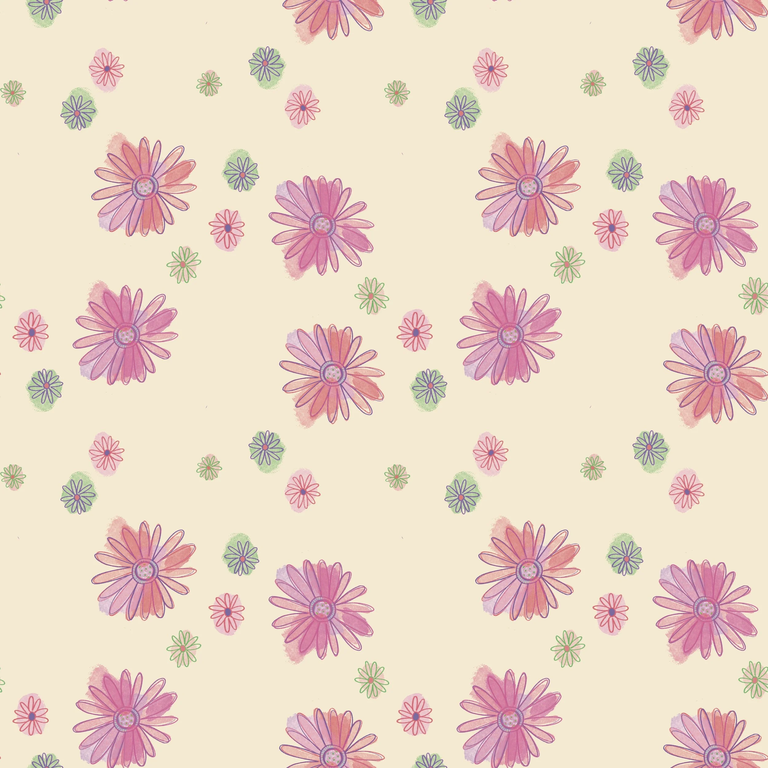 Pink Blush Desert Daisy