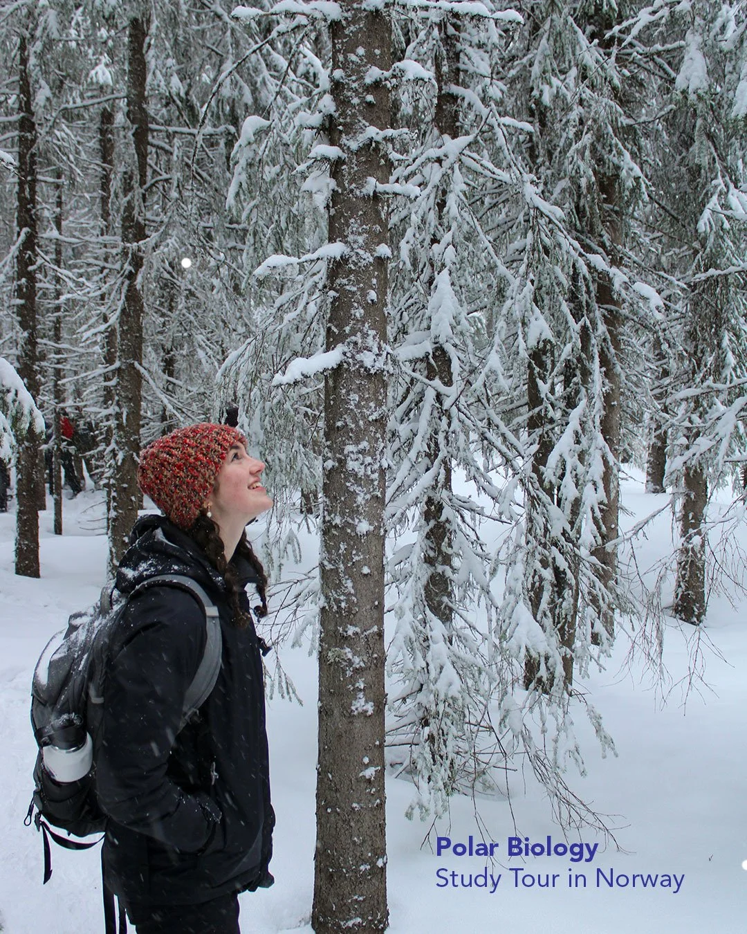 polarbiology-study-tour_01.jpg