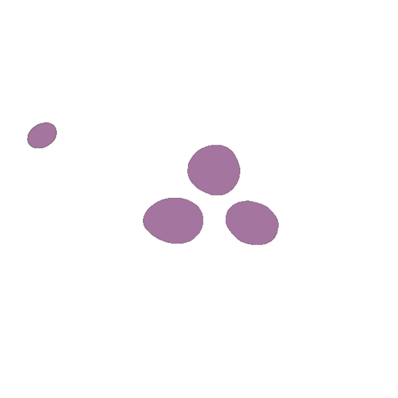 Animals-Preview-_0010_Skillepadde.webp
