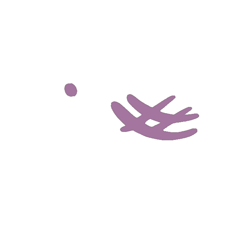 Animals-Preview-_0004_Elefant.webp