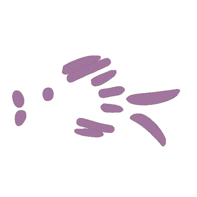 Animals-Preview-_0012_FishAmalfi.webp