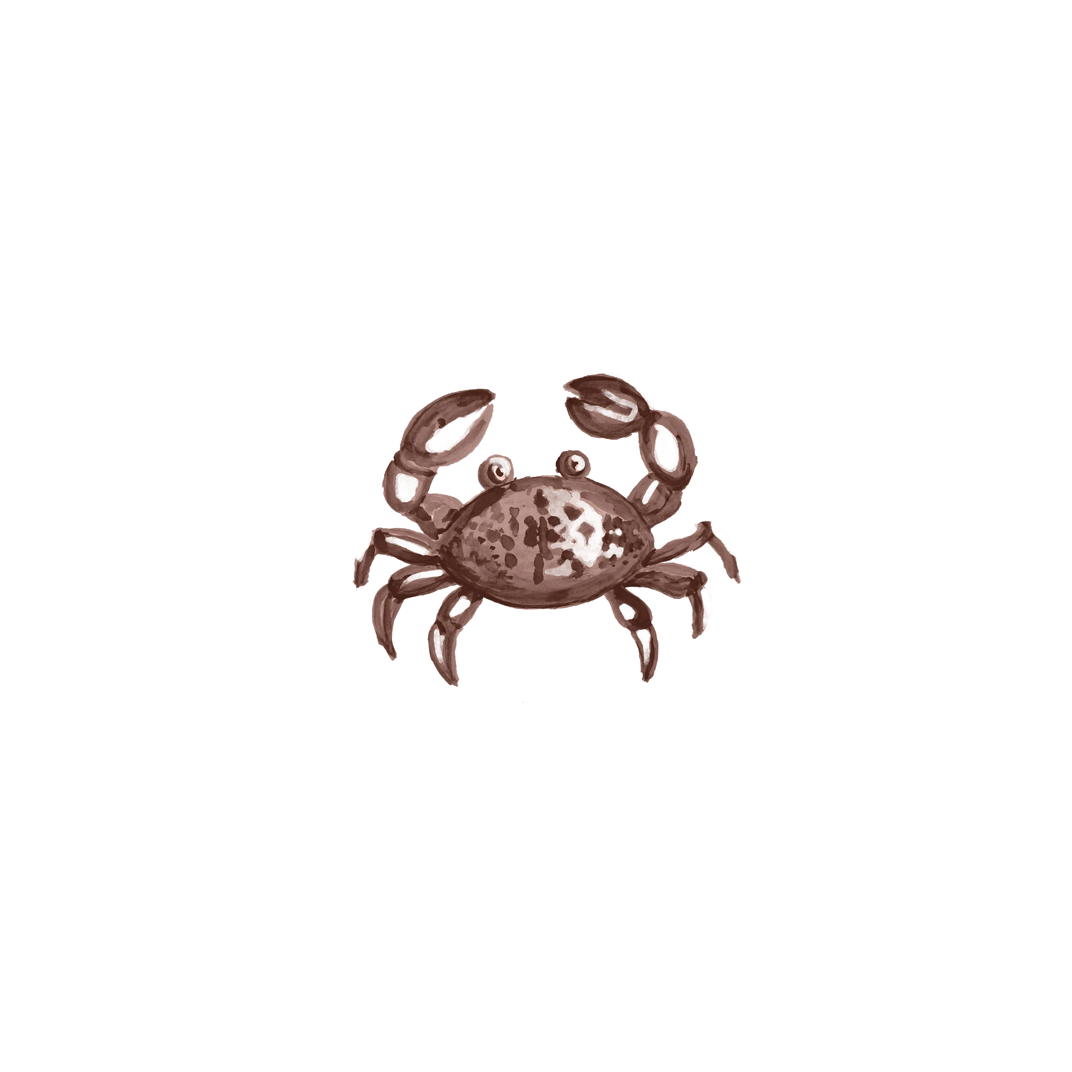 Crab_0000s_0000s_0002_#5c3930.webp