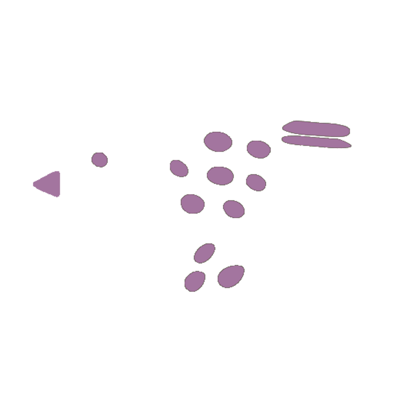 Animals-Preview-_0013_Fugl.webp