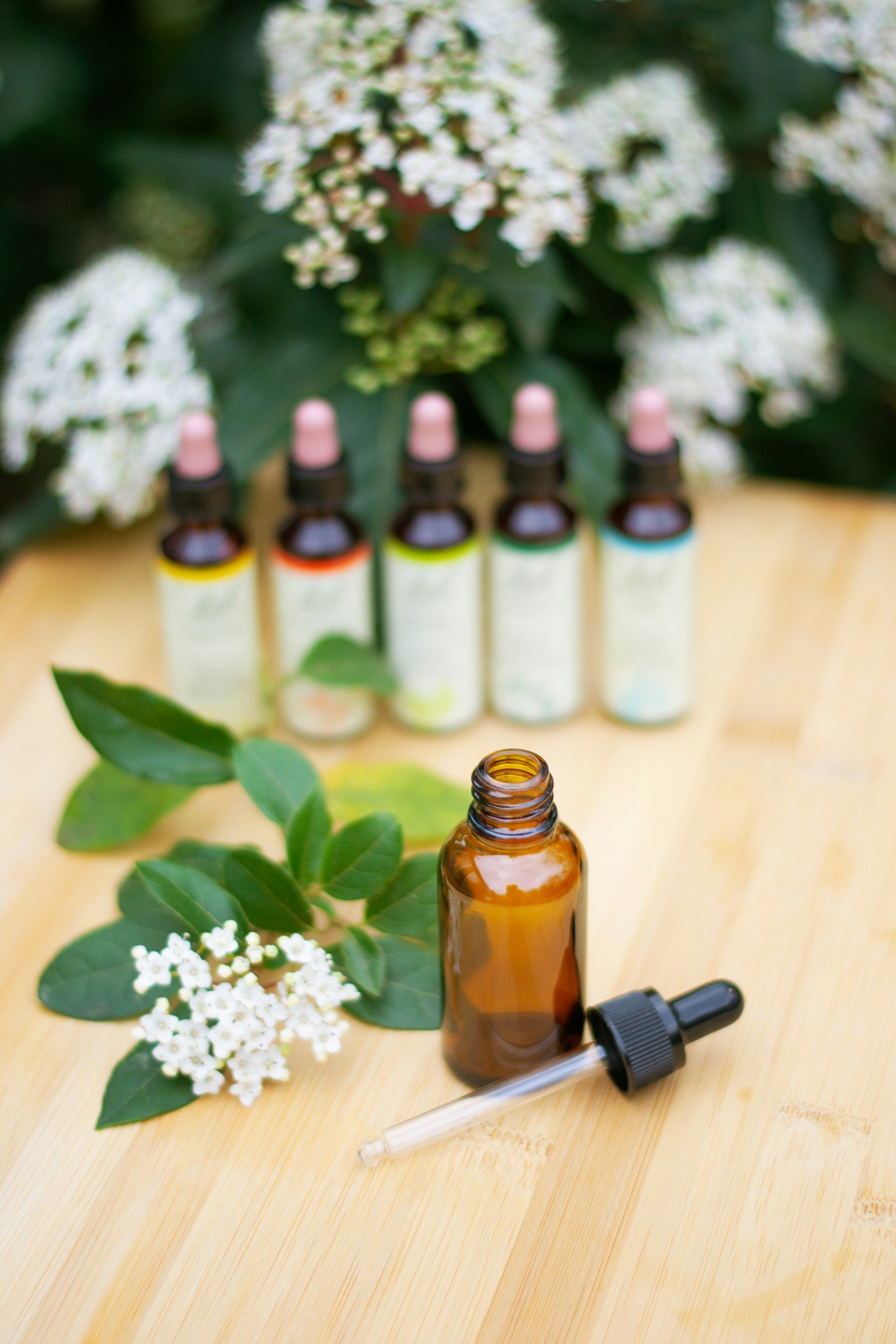 A small amber glass bottle with a black dropper cap, some green leaves, and a cluster of small white flowers on a wooden surface. In the background, there are several other small bottles with colorful caps and labels, along with a leafy green plant and white flowers.