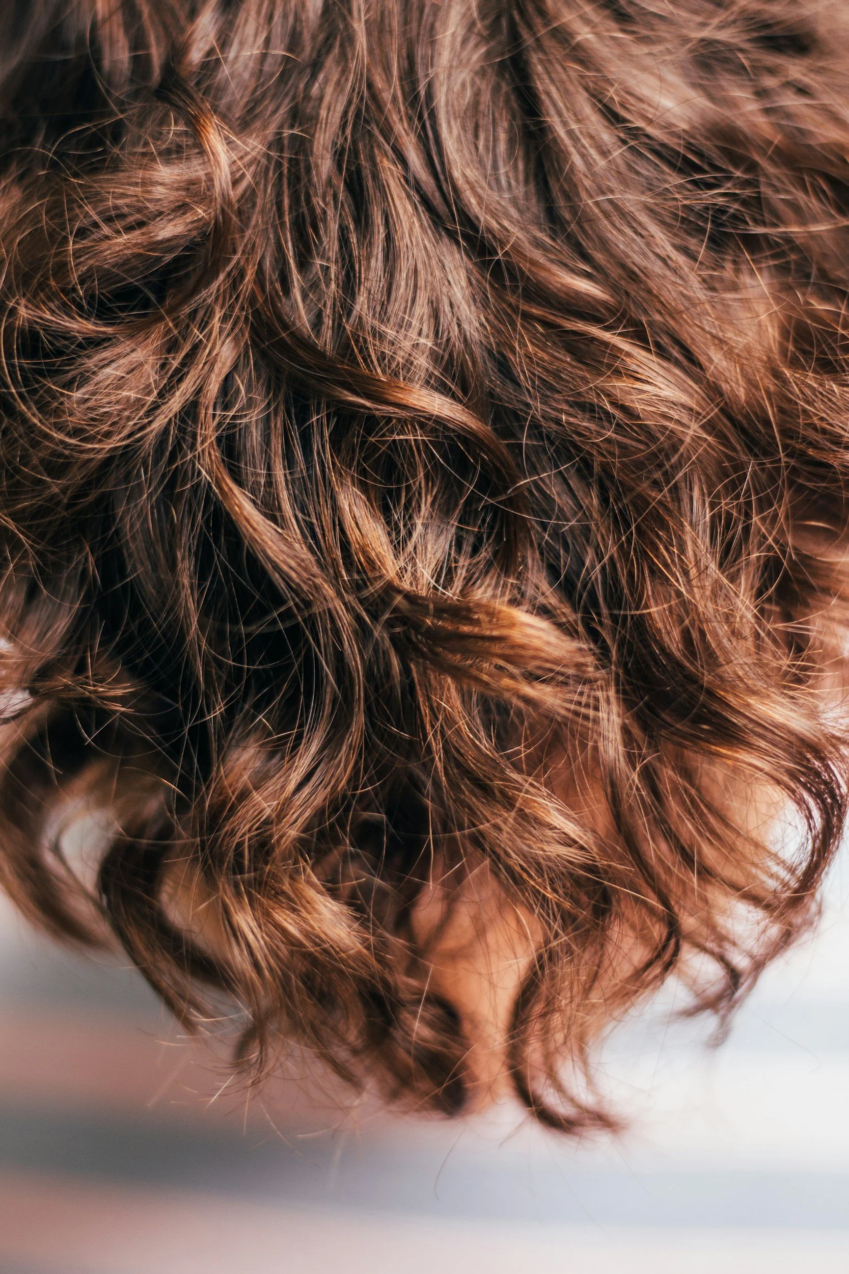 Close-up of brown curly hair.