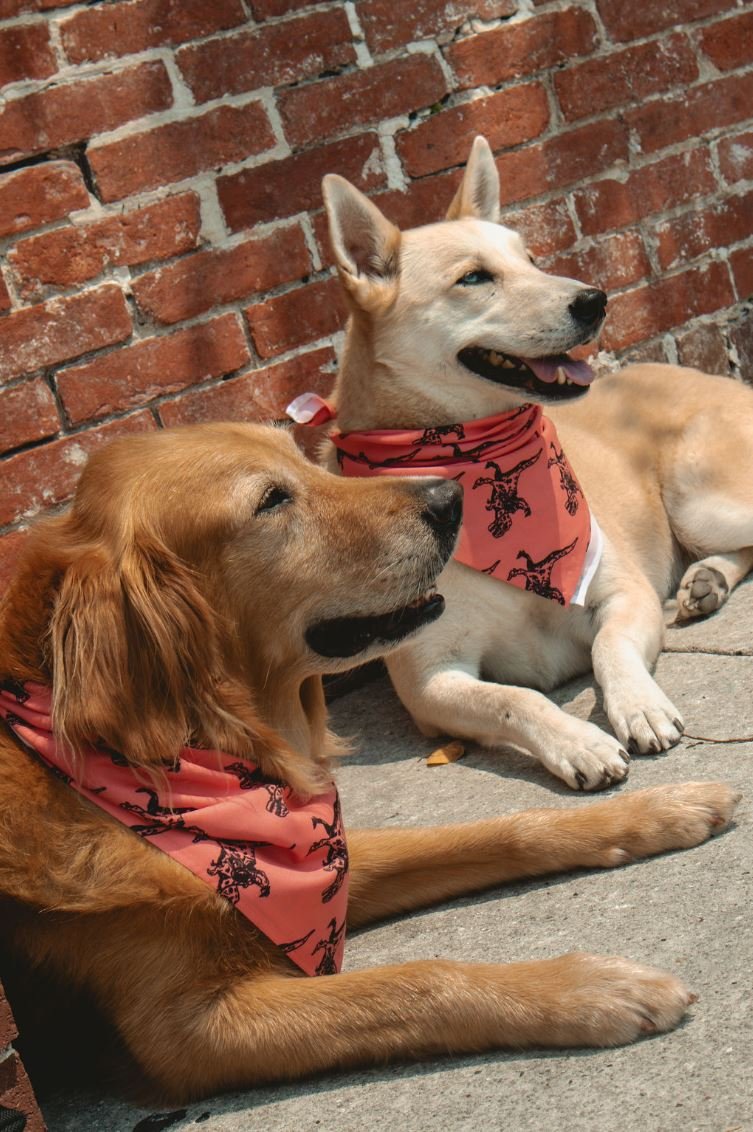 Bandana4.JPG