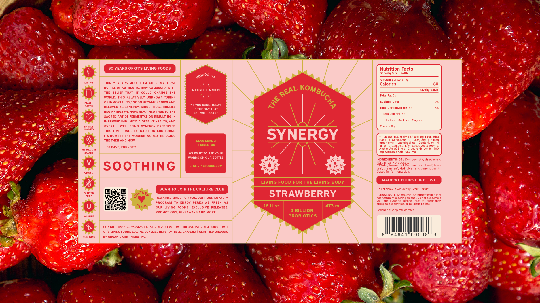 Kate_Allen_StrawberryPackaging_WithBackground.png