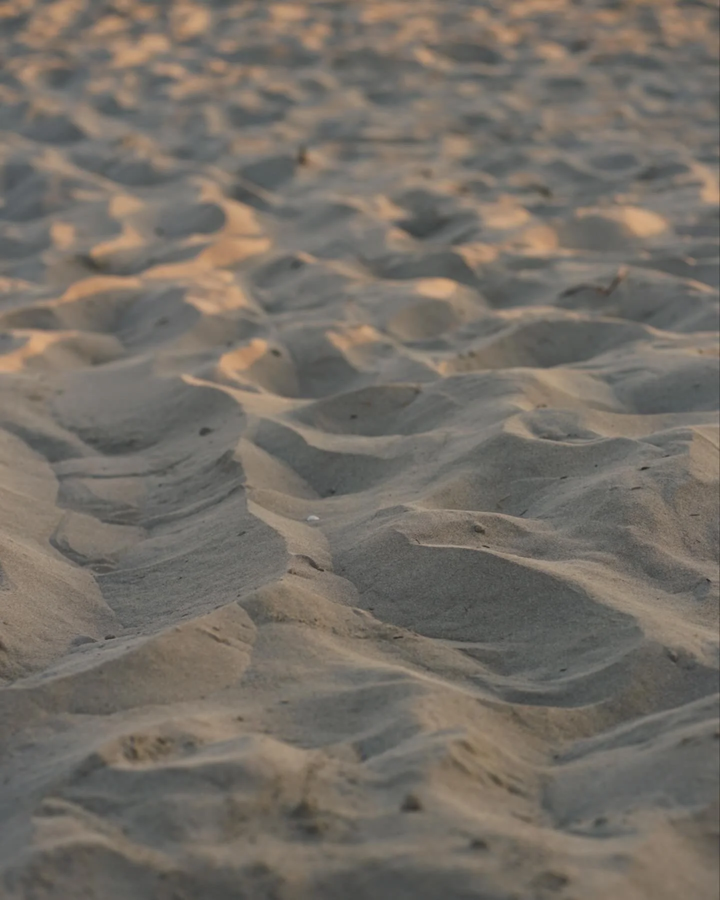 B74FF53E-D58A-459C-B8B8-94DE7C1F80E5 2.JPG