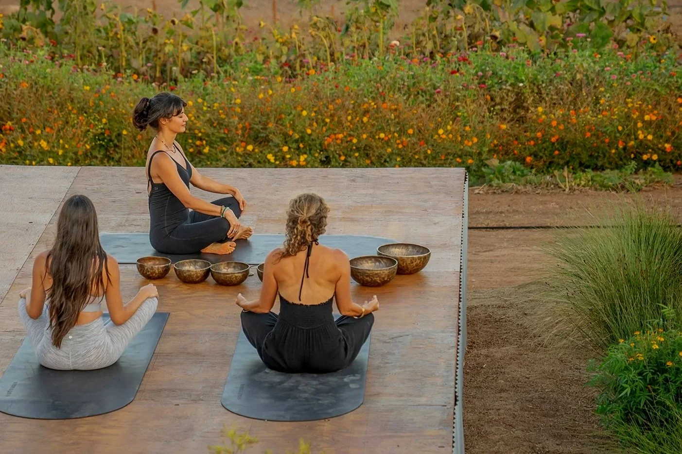 Wellness Reset Session