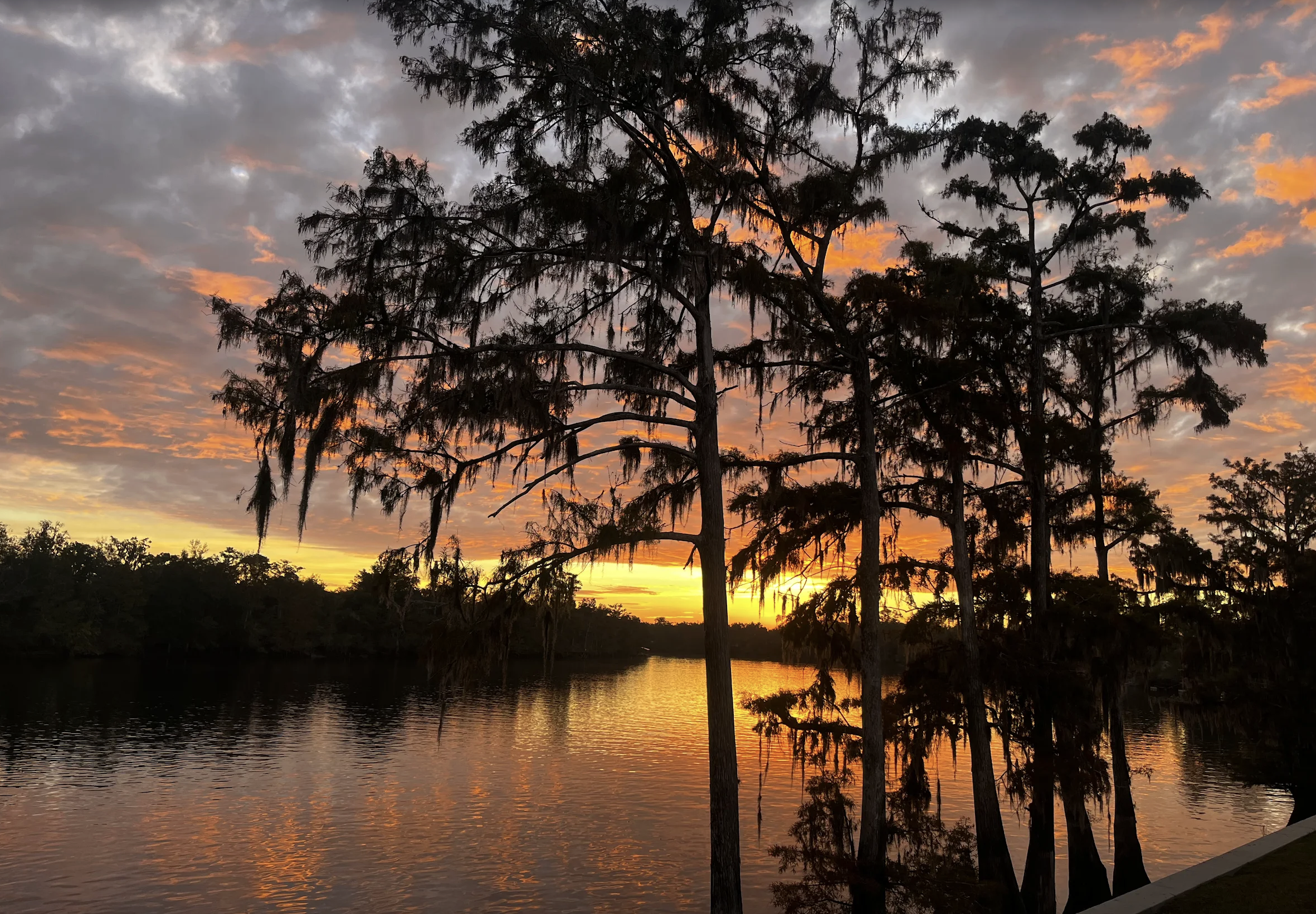 Family Summer Fun on Florida’s Nature Coast: Things To Do On TheSuwannee River