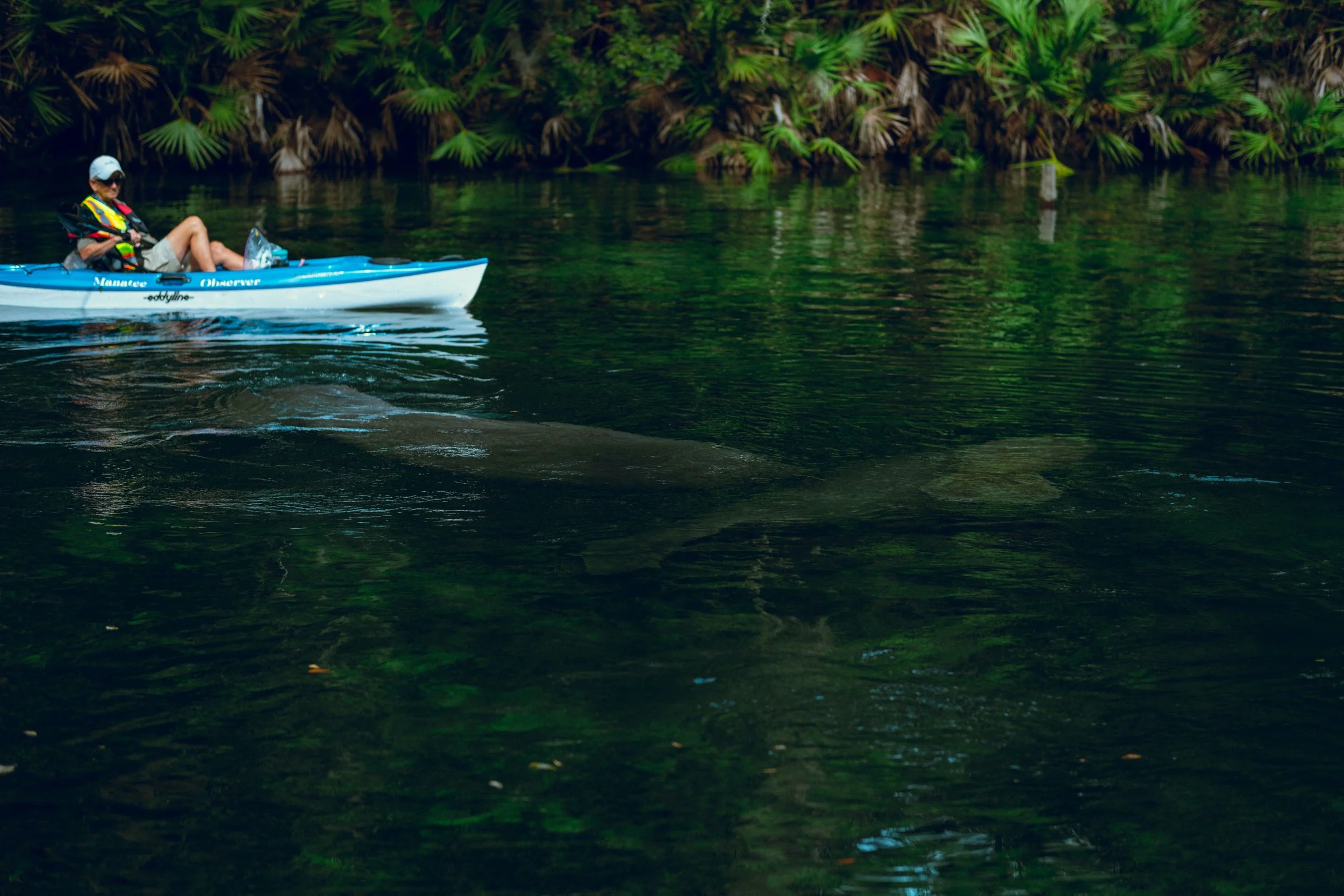 Where to Launch Your Kayak on theSuwannee River in Old Town, Florida