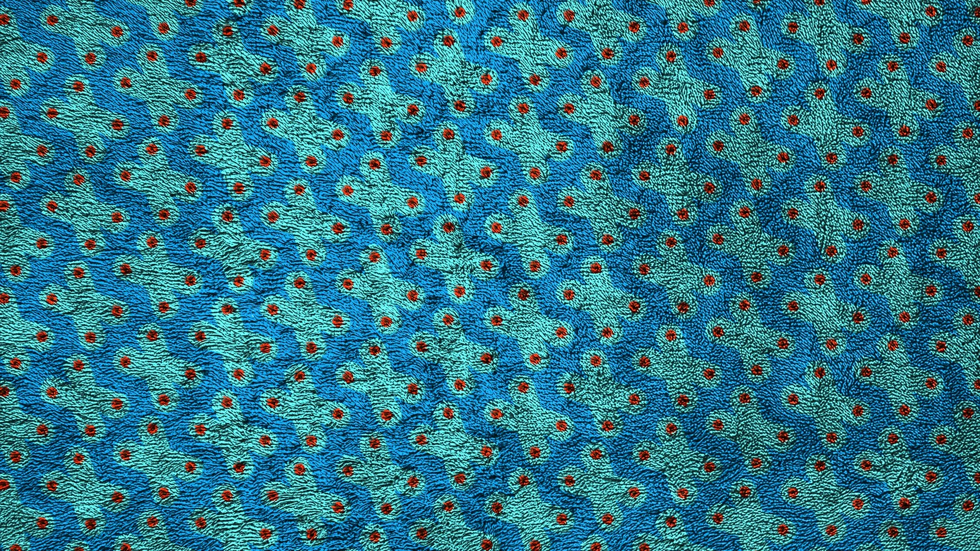 rug-12.jpg