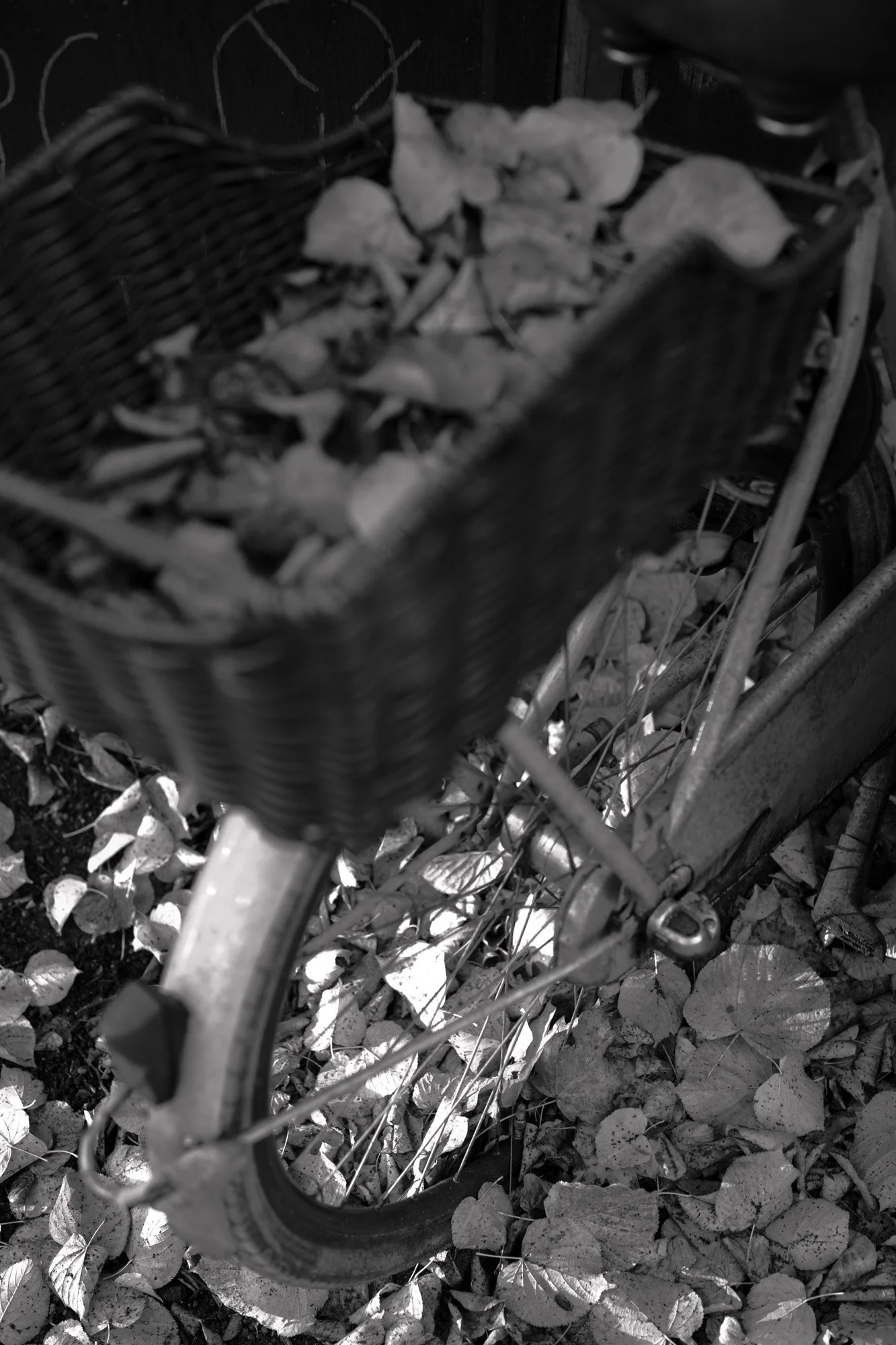 michal_gerszewski-1242.jpg