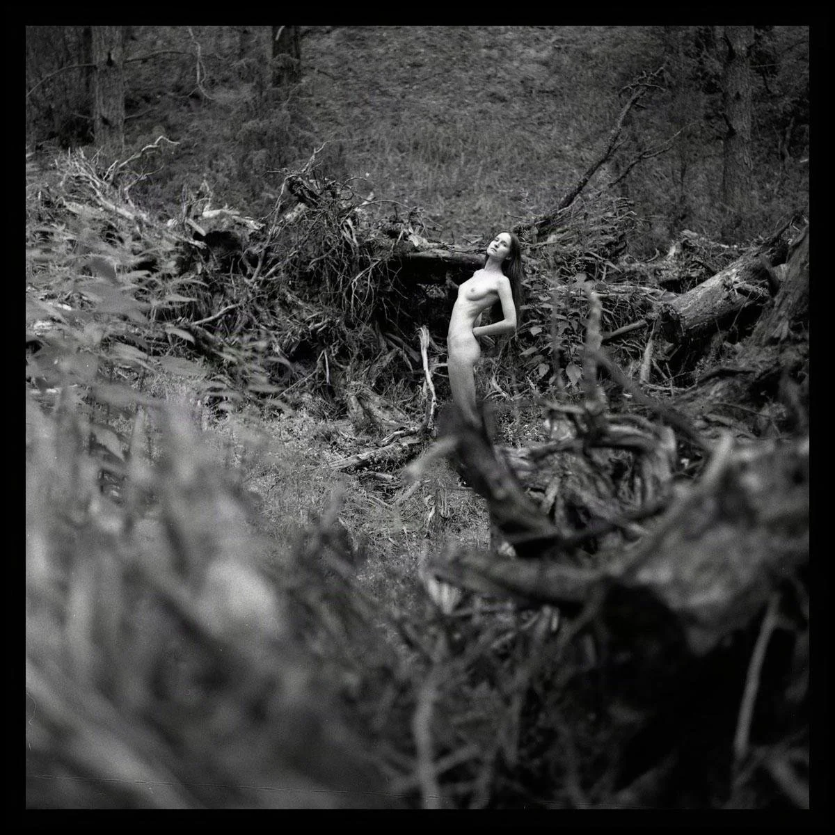 gerszewski_michal_portfolio-1216 - Cr.jpg