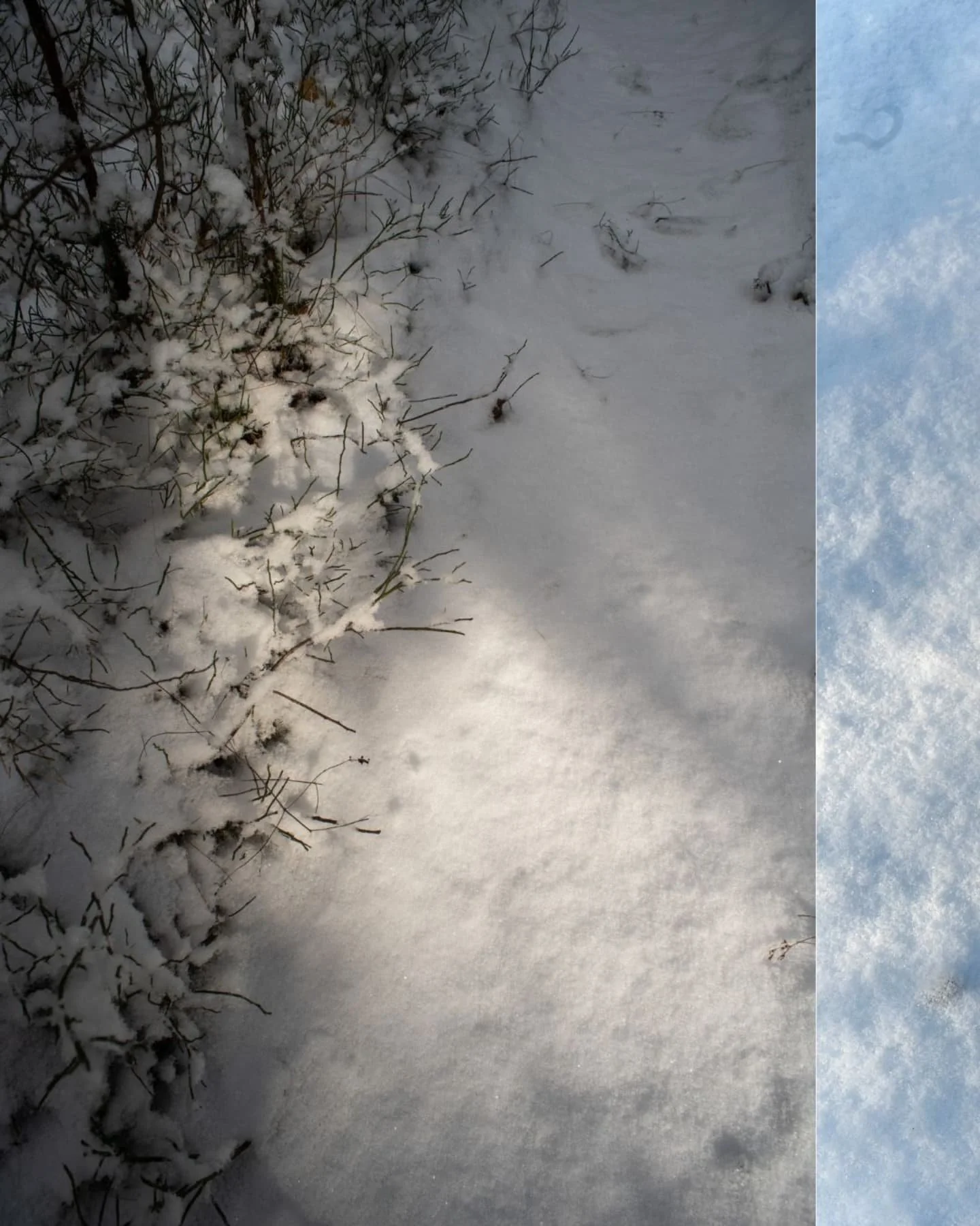 Wybrałem się w niedzielę o brzasku na spacer w poszukiwaniu ciszy, spokoju i kapliczek pamiętających Mikołaja Kopernika. 
Znalazłem trop wilk&oacute;w i zanurzyłem się głęboko w warmiński las. Było cudnie