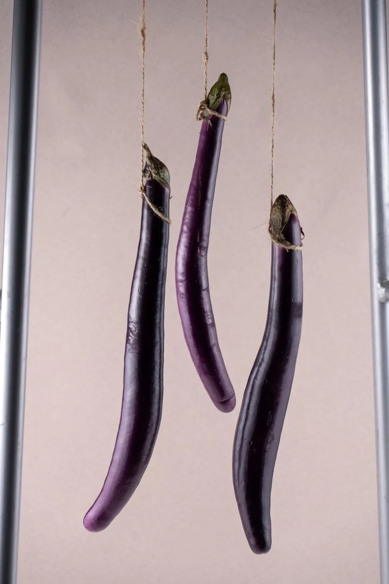Three eggplants hanging from strings, with dried leaves at the top of each, against a plain background.