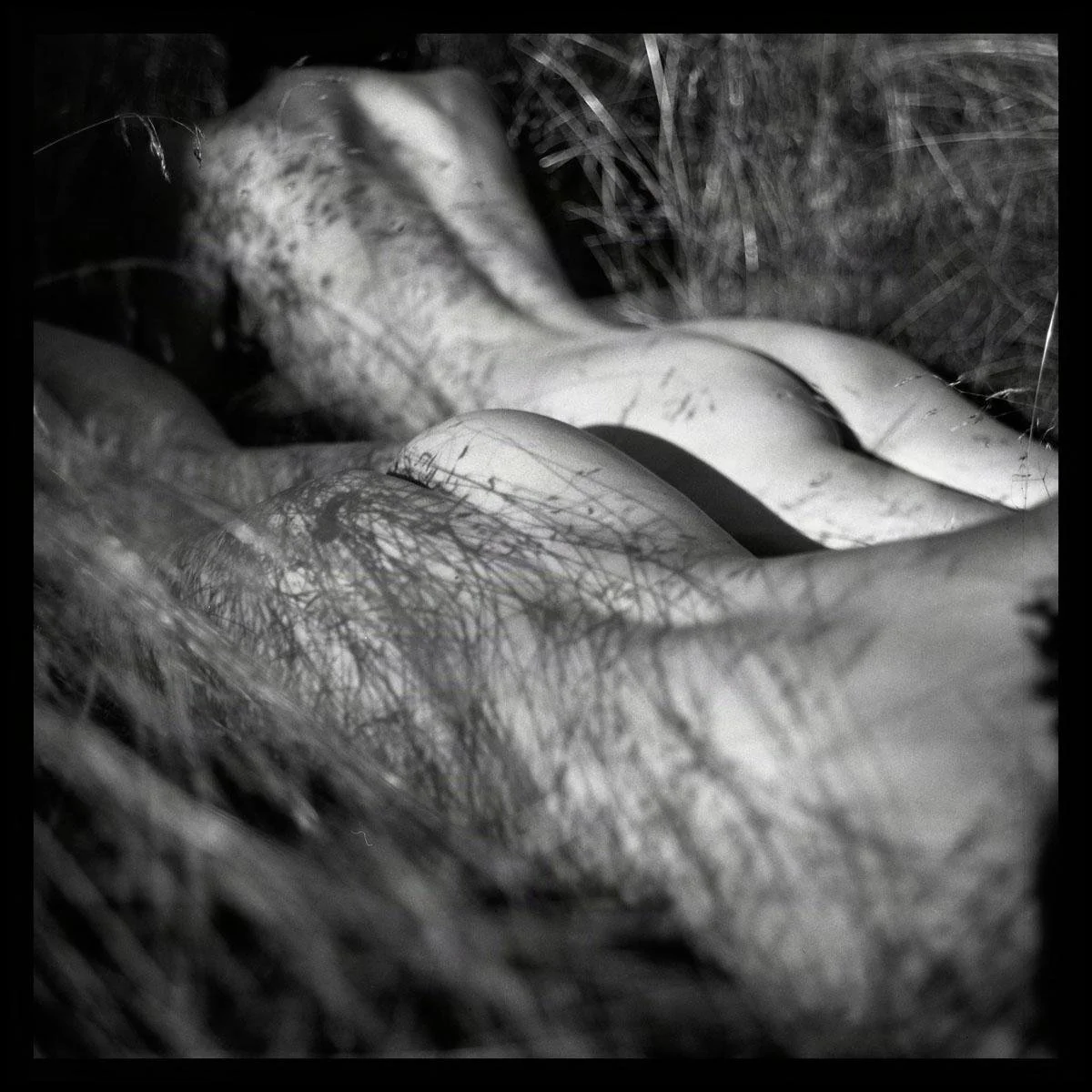 gerszewski_michal_portfolio-1119 - Cr.jpg