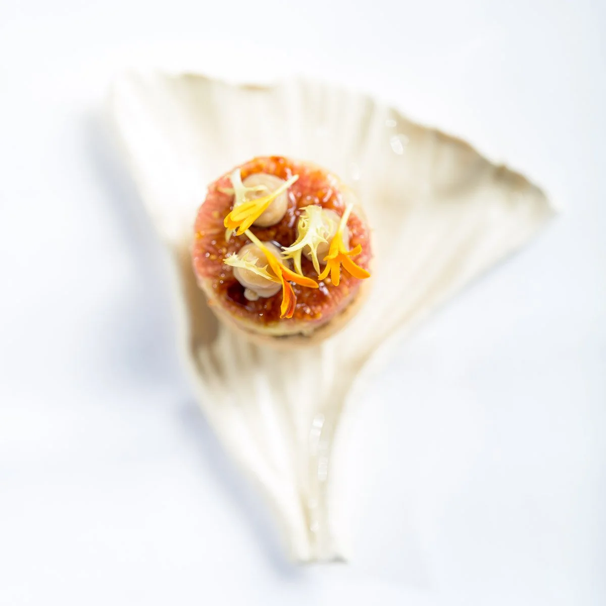 Close-up of a gourmet appetizer served on a white, textured shell.