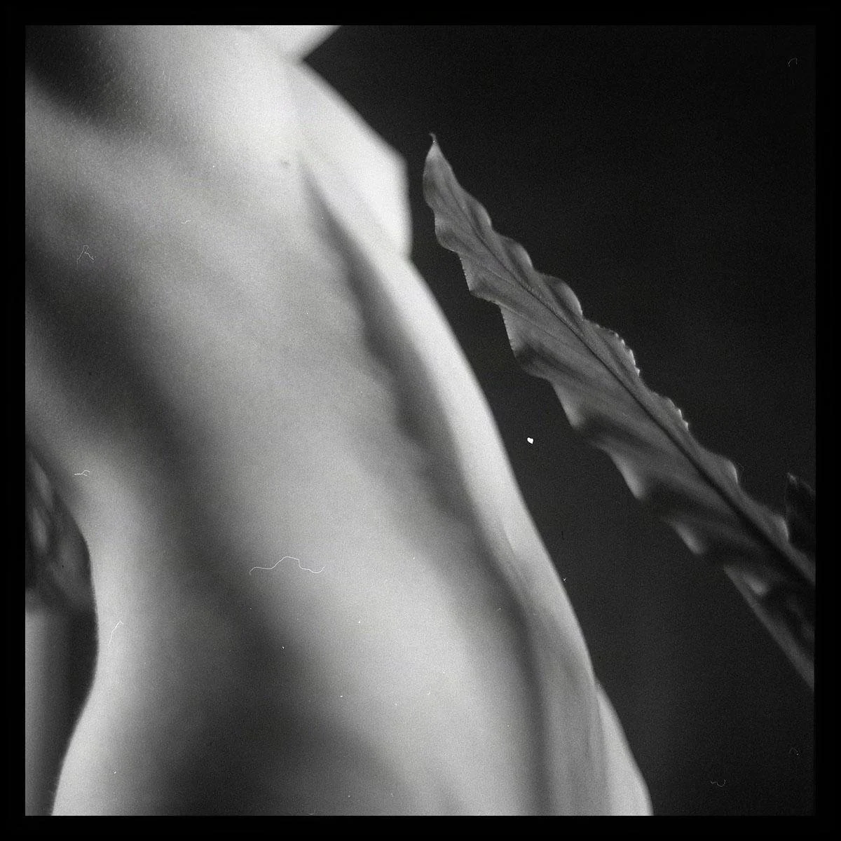 gerszewski_michal_portfolio-1068 - Cr.jpg