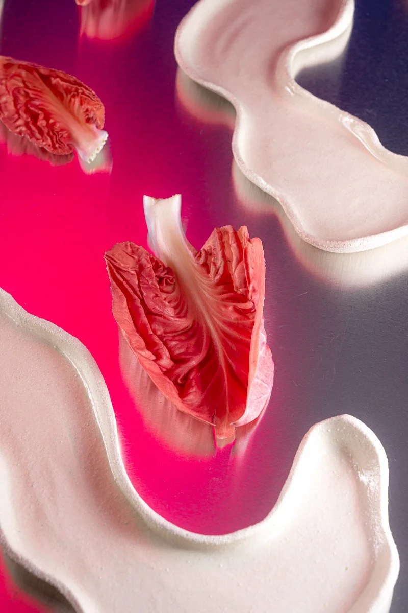 Close-up of pink and white abstract forms with wrinkled textures, resembling organic shapes.