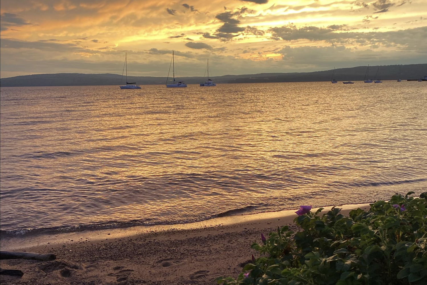 Beach sunset and sailboats.png
