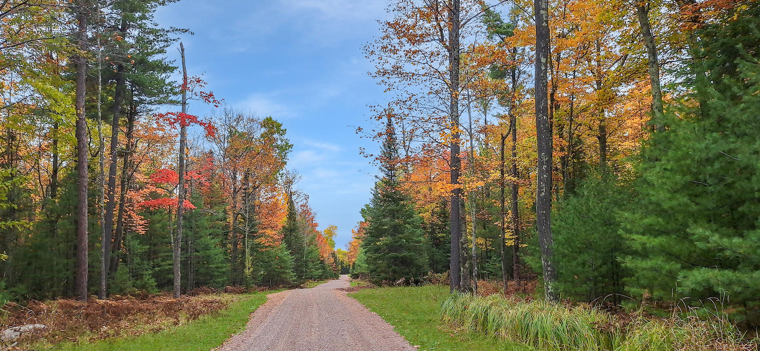 Raspberry fields 1125 5.png