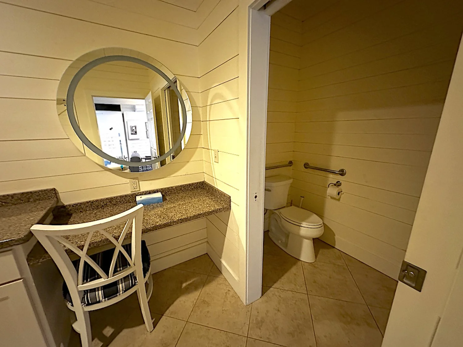 vanity and toilet.jpg