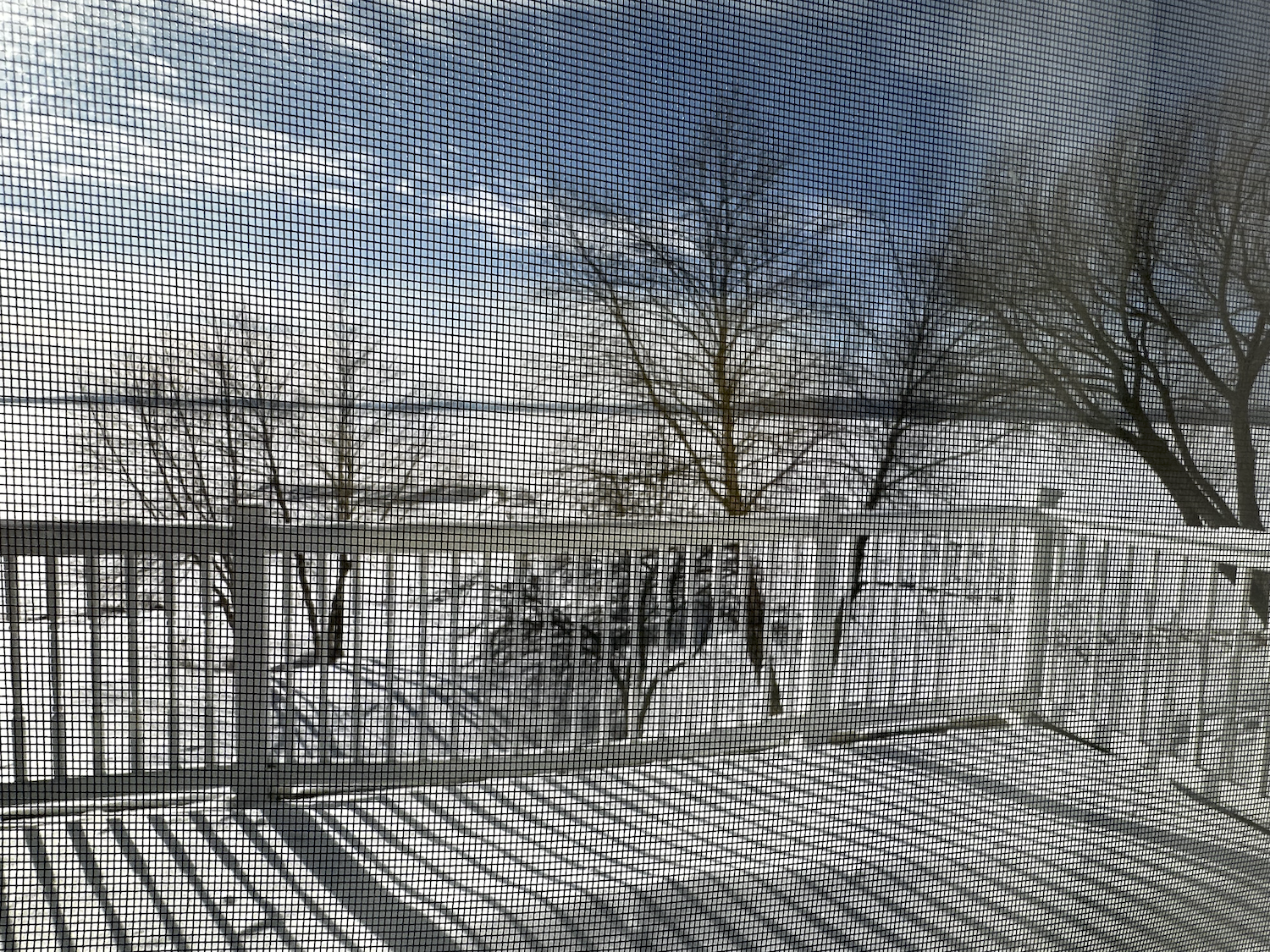 view from deck in winter.png