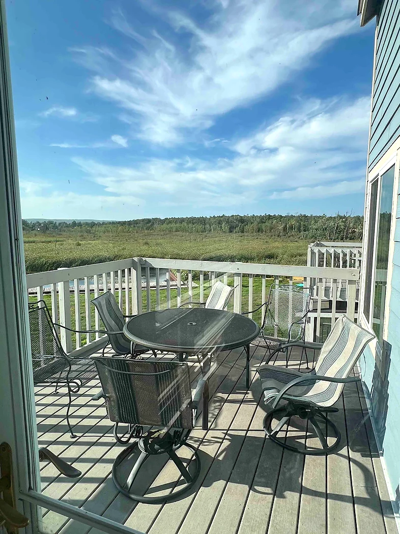 deck with table chairs.png