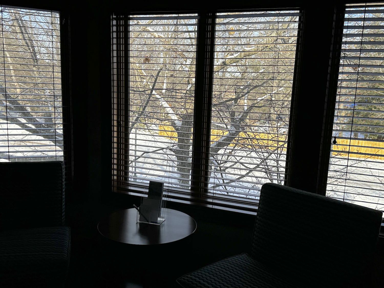  view from sitting area.png