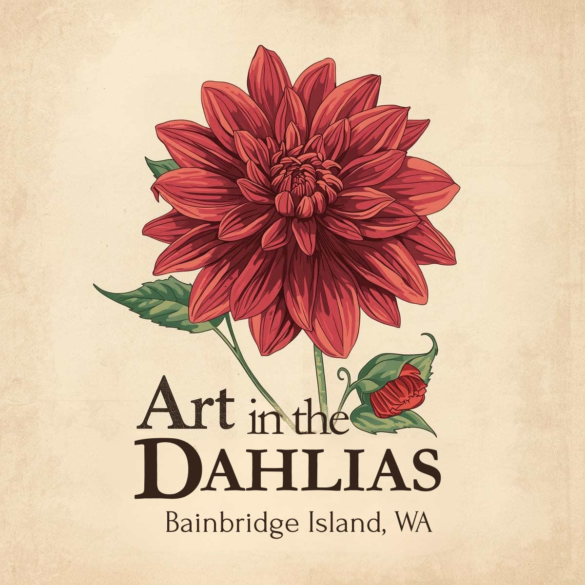 An artistic illustration of a red dahlia flower with green leaves and a small bud, accompanied by the text 'Art in the Dahlias Bainbridge Island, WA'.