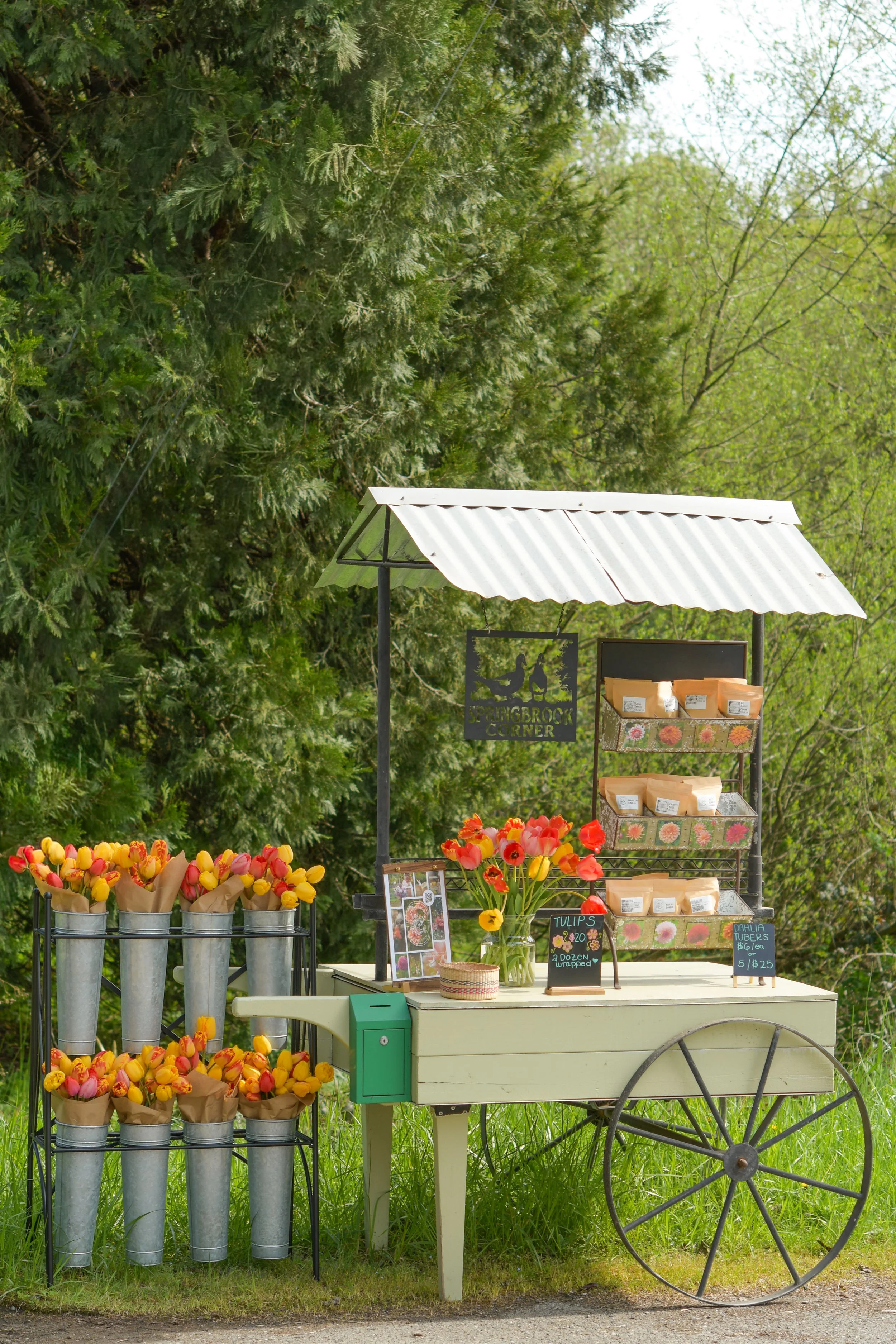 Springbrook Corner Farm