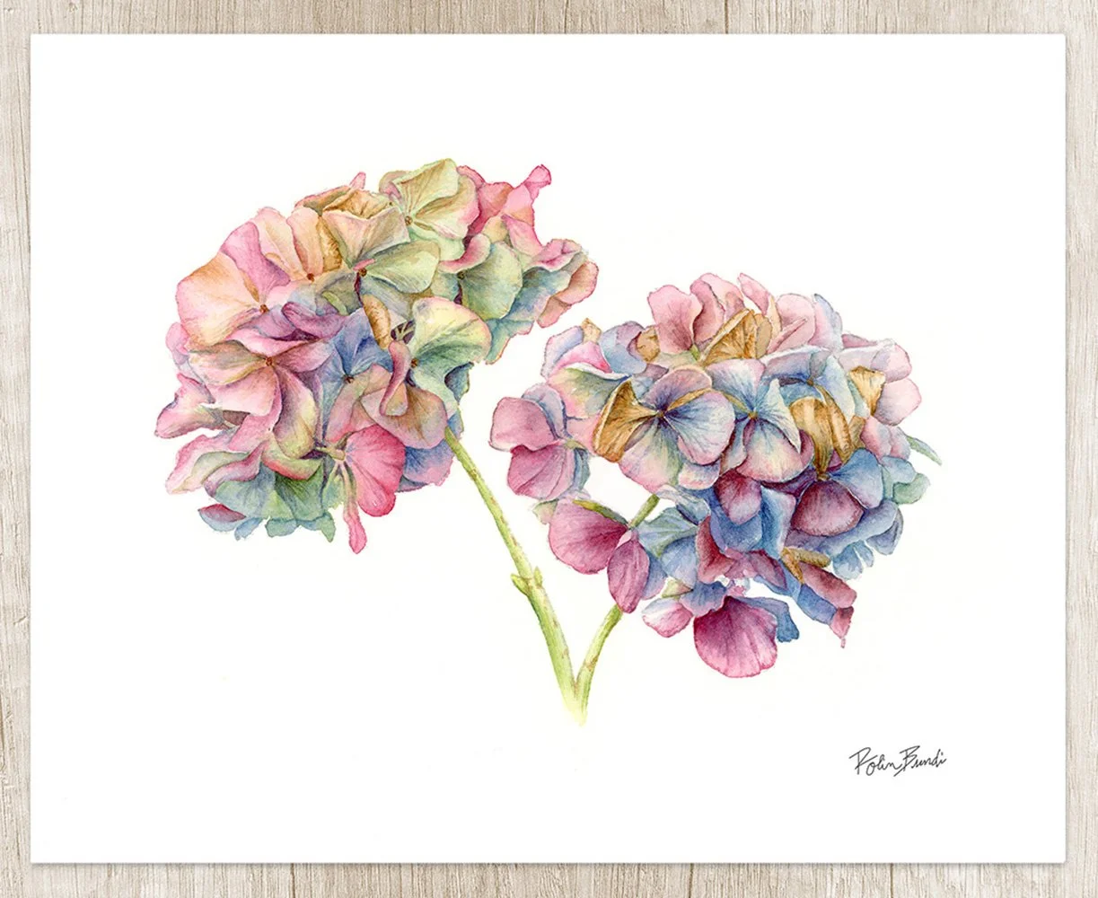  Robin Bundi Art