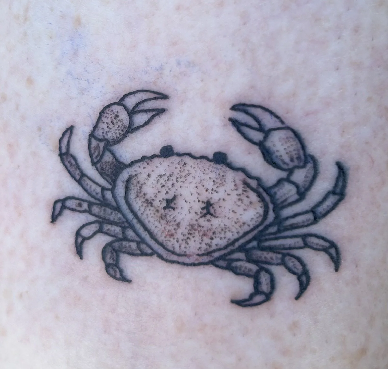  Ink Alchemy Tattoos