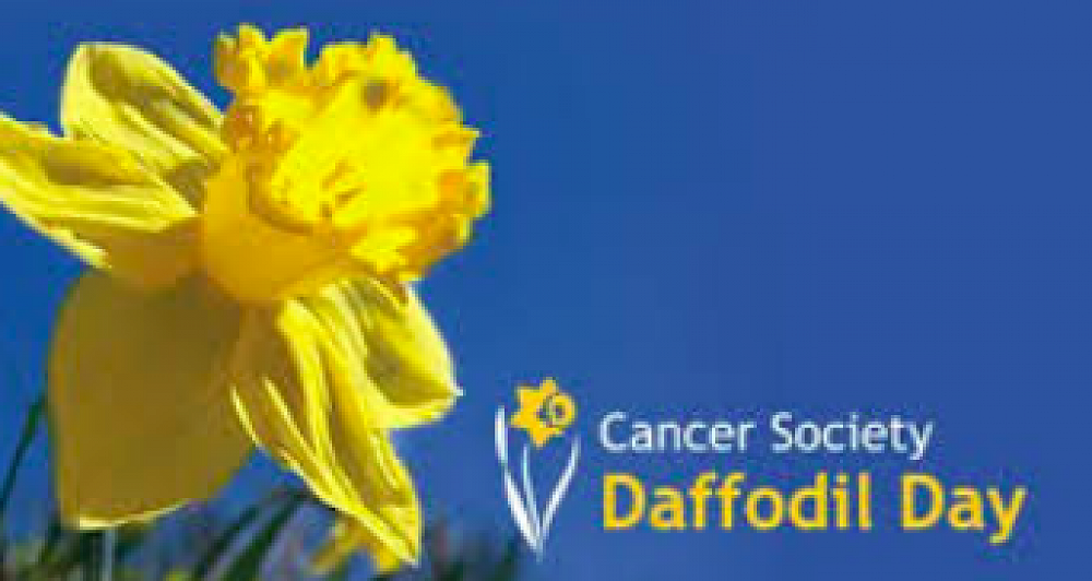Daffodil Day