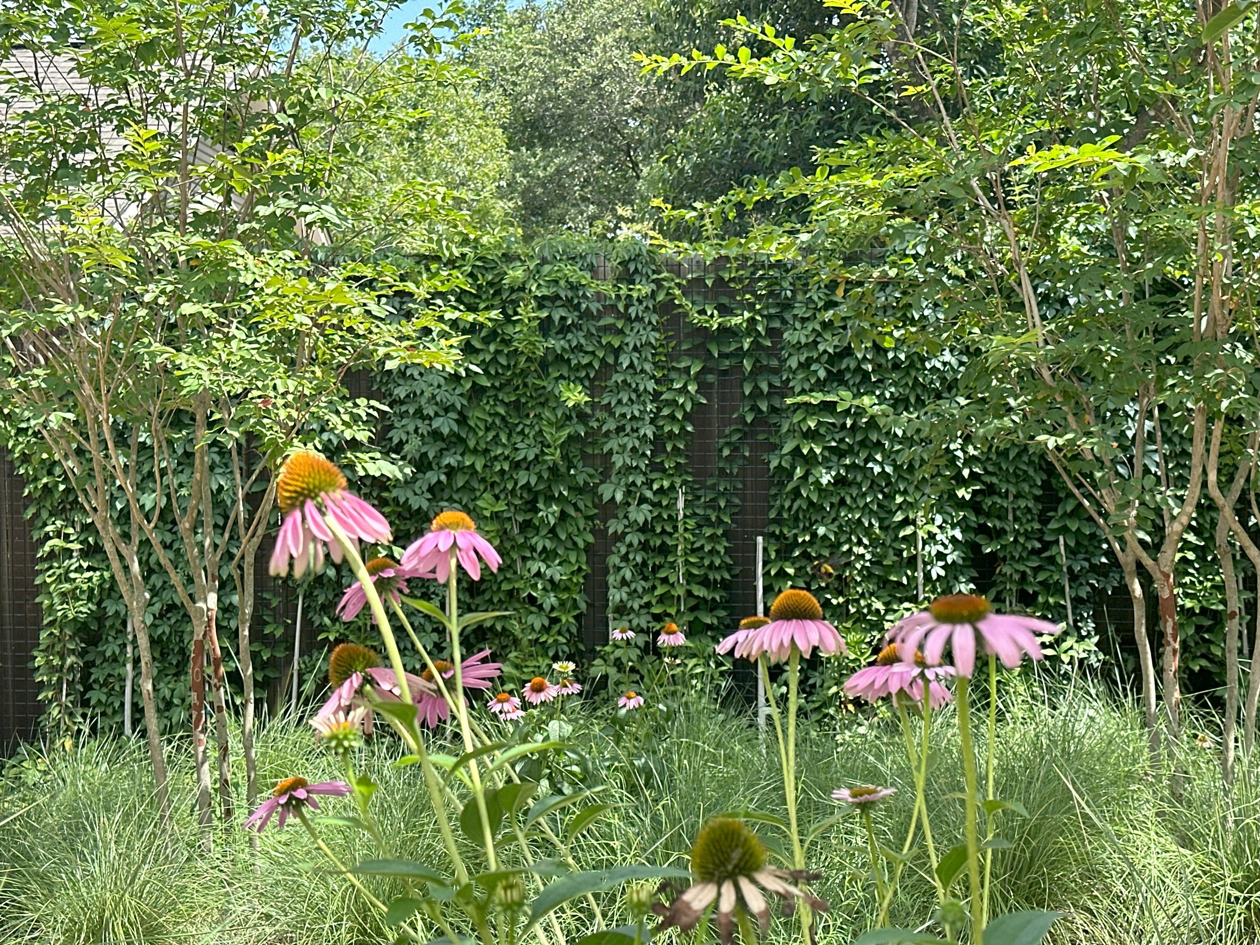 Thousand Oaks Garden
