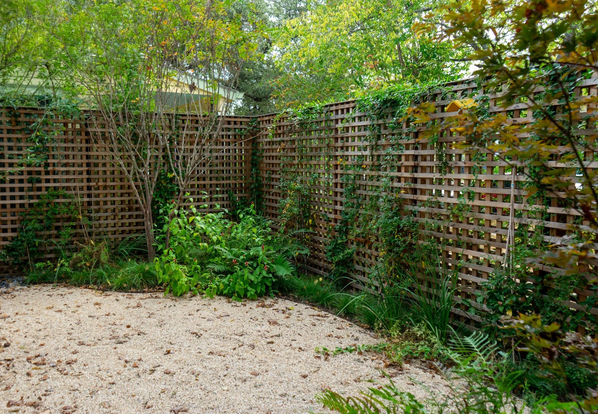 Screenshot 2026-01-14 171401.jpg