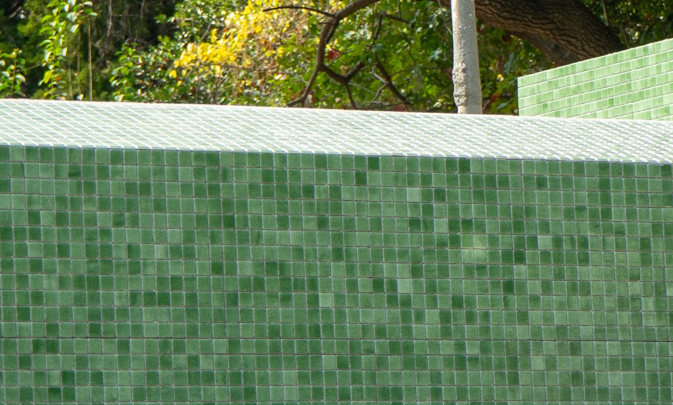 Screenshot 2026-01-14 171520.jpg