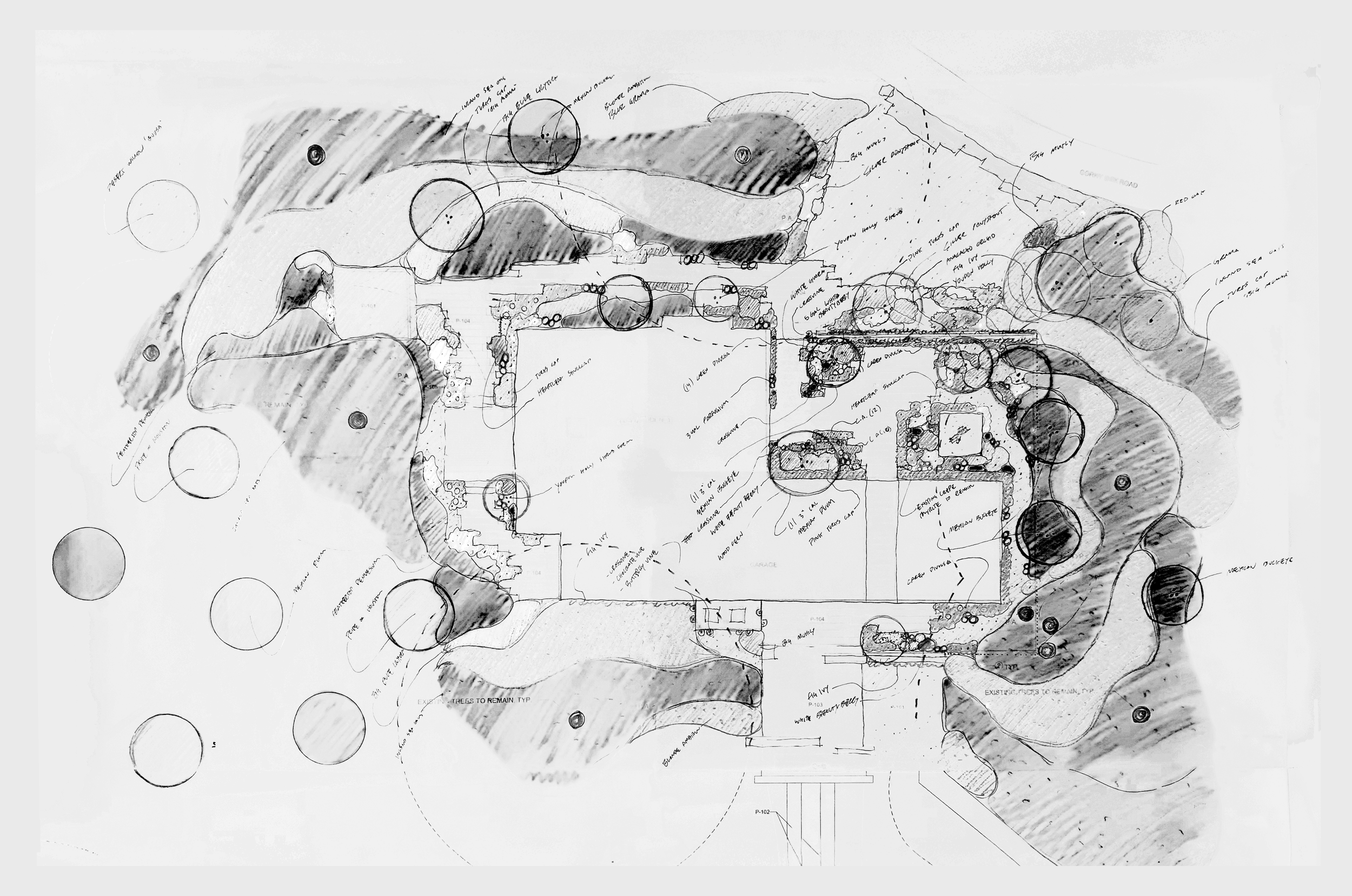 Hand-drawn landscape plan with trees, pathways, and structures, annotated with notes and measurements.