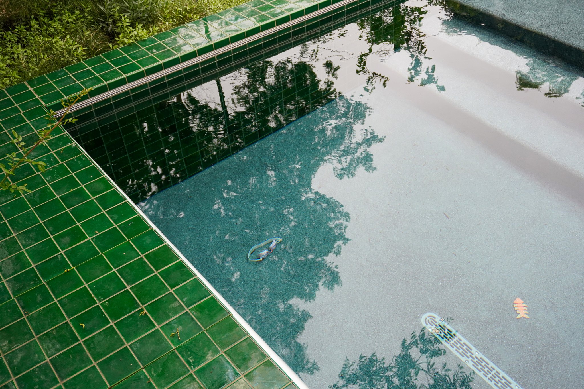 Hyde Park Courtyard Gardens