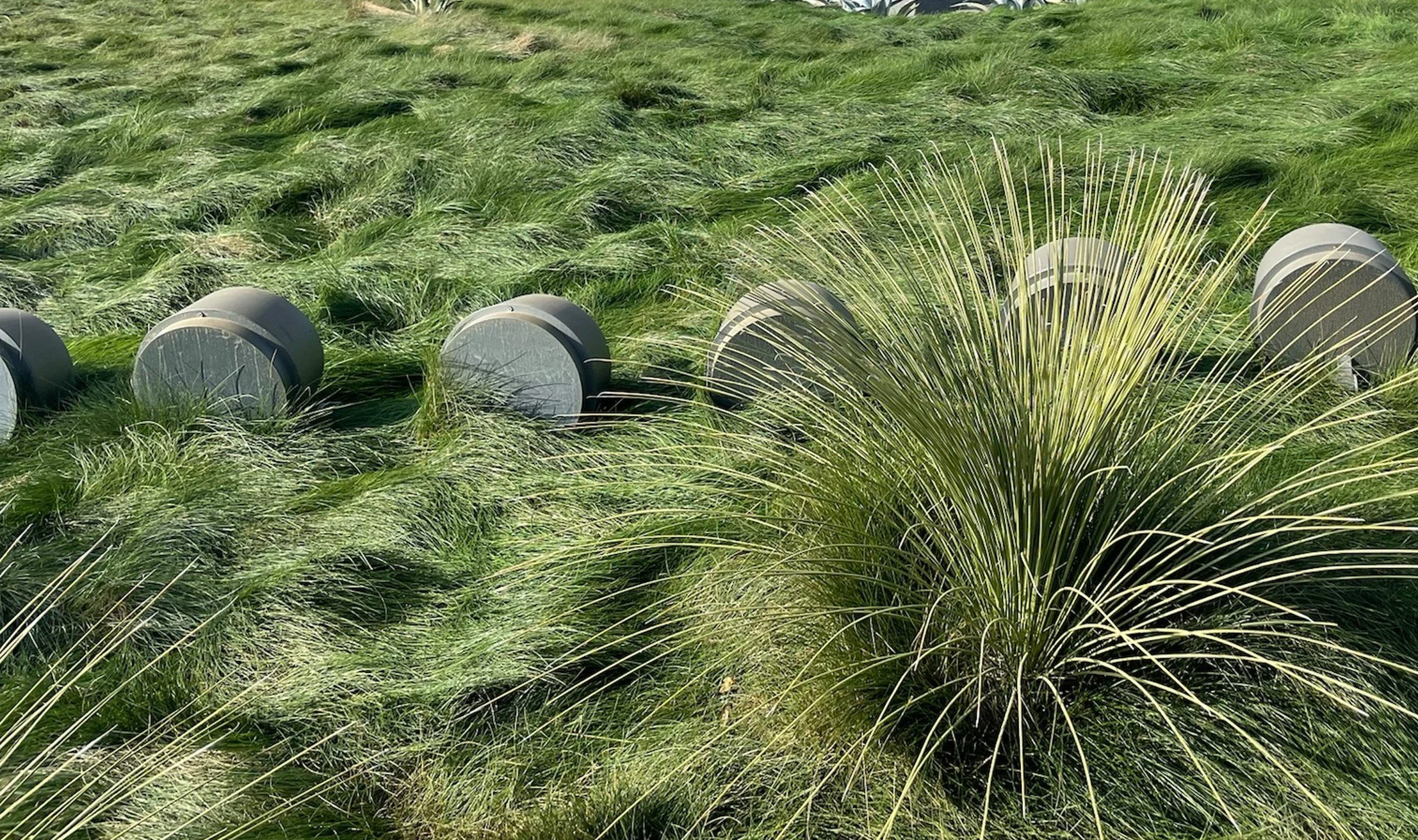 Screenshot 2026-01-13 110300.jpg