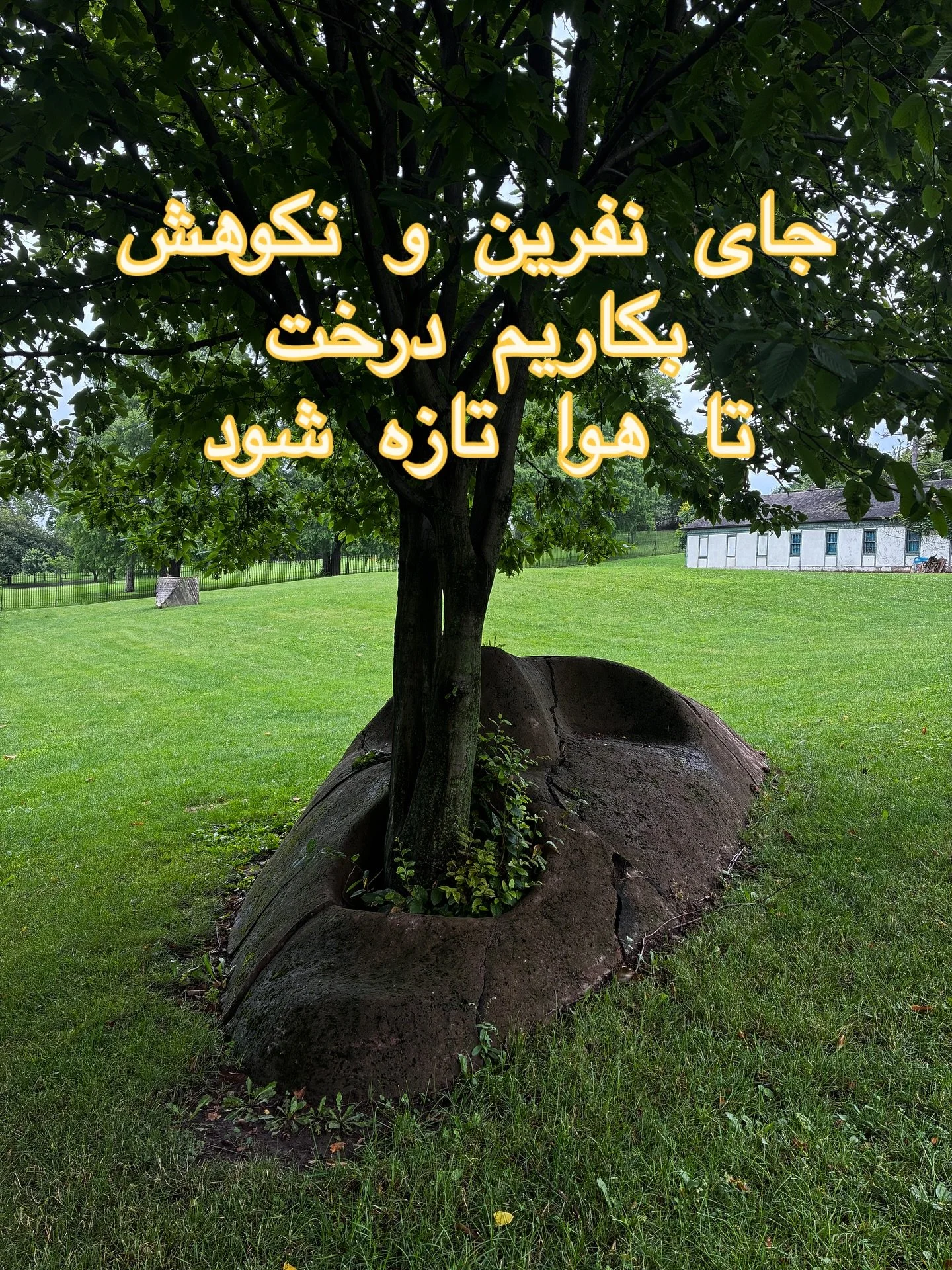 &ldquo;For every bad word and swear, plant a tree, and help clean the air instead.&rdquo;

جای نفرین و نکوهش بکاریم&zwnj;درخت تا هوا تازه شود!
#هیپنوتراپی #مشاوره #درخت #ایران #سهراب_سپهری