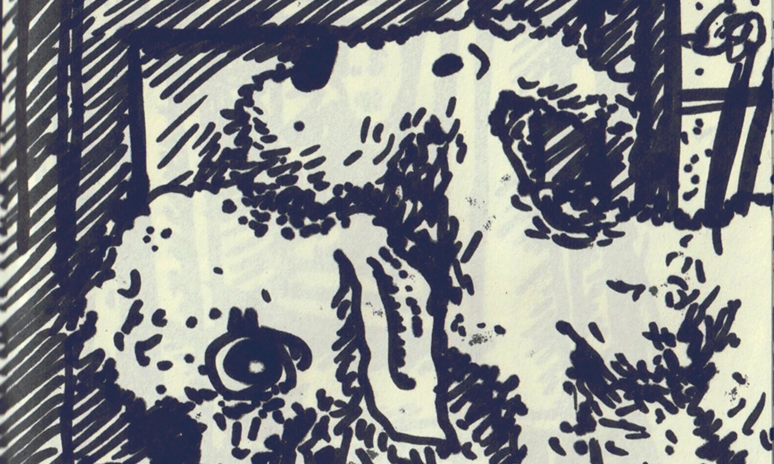 Sketchbook
