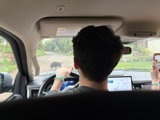 Driving Miss Piggy.png